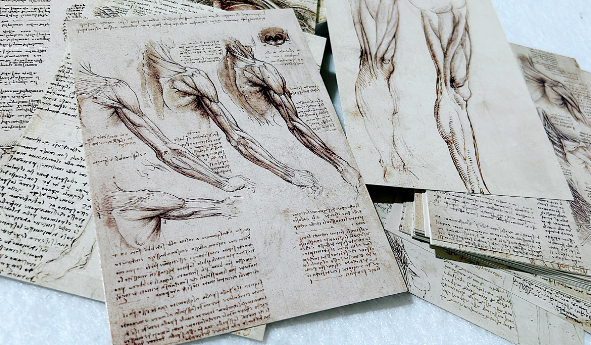 30Sheets/Lot Leonardo Da Vinci - đánh giá và giá Photography Types