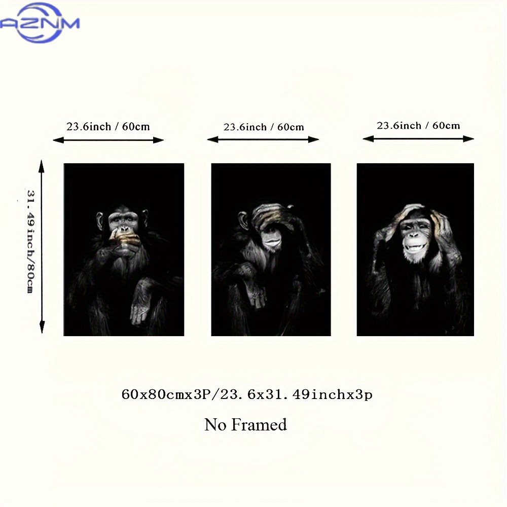 3pcs/set Big Size Unframed Ret - đánh giá và giá Photography Kit